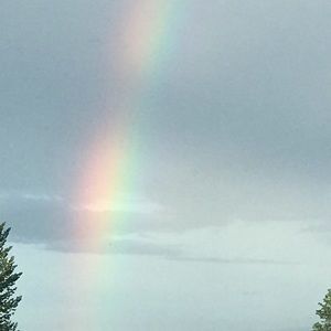 Meet your Posher, Kylee